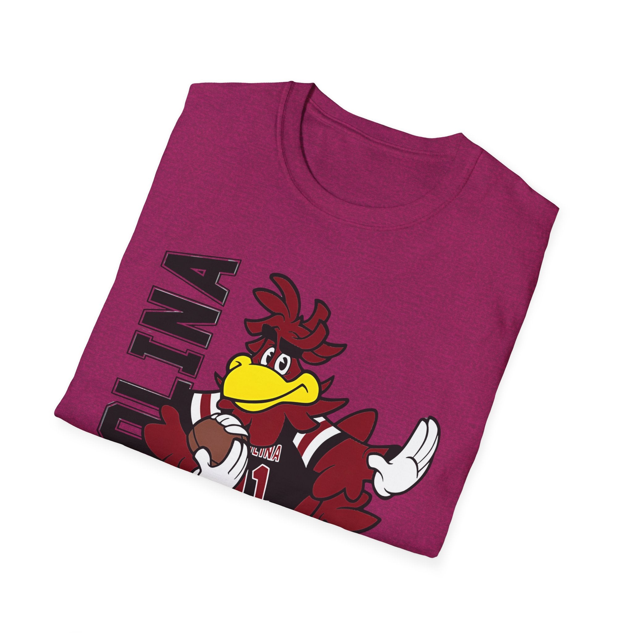 South Carolina Gamecocks