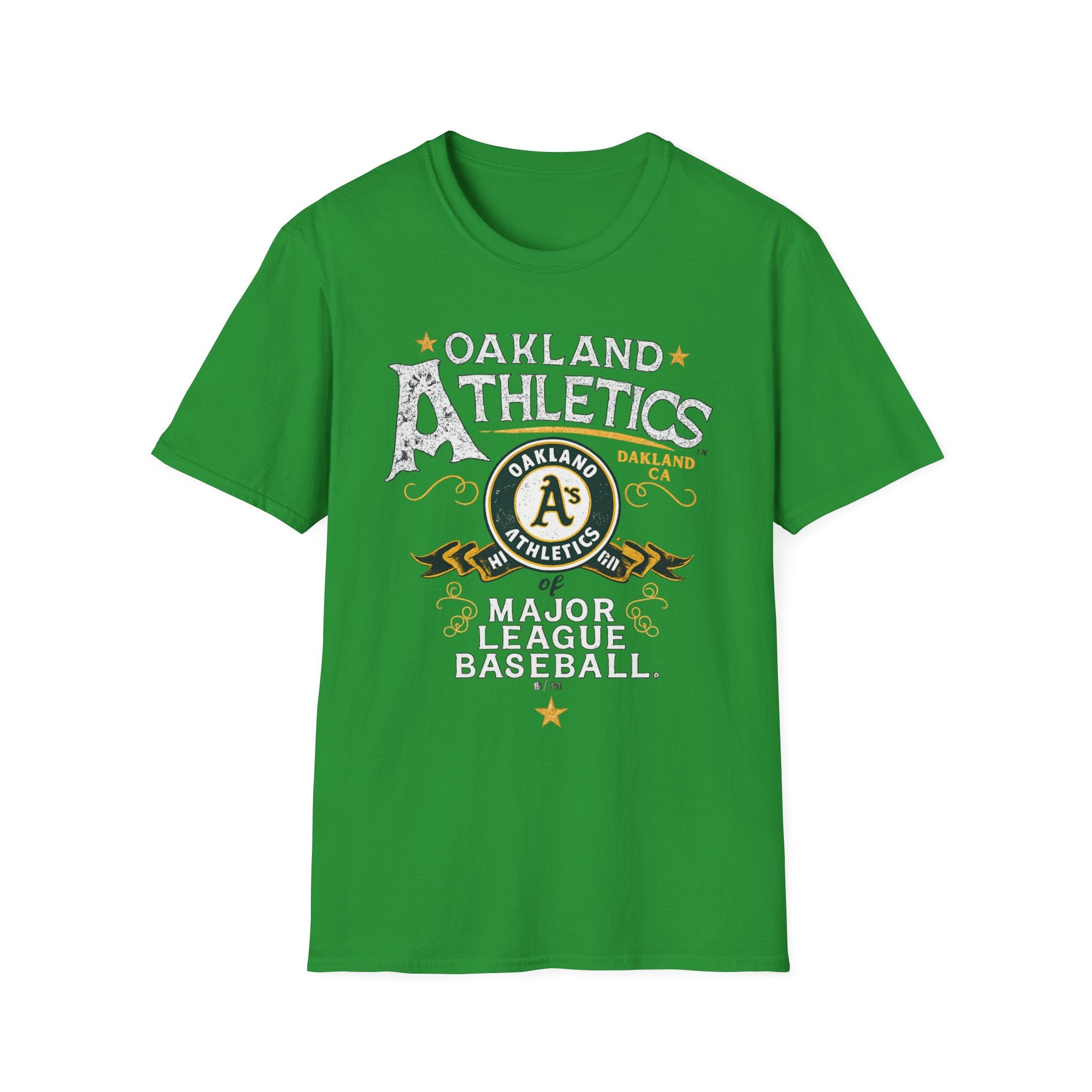 Noter dame fighting irish  - Oakland