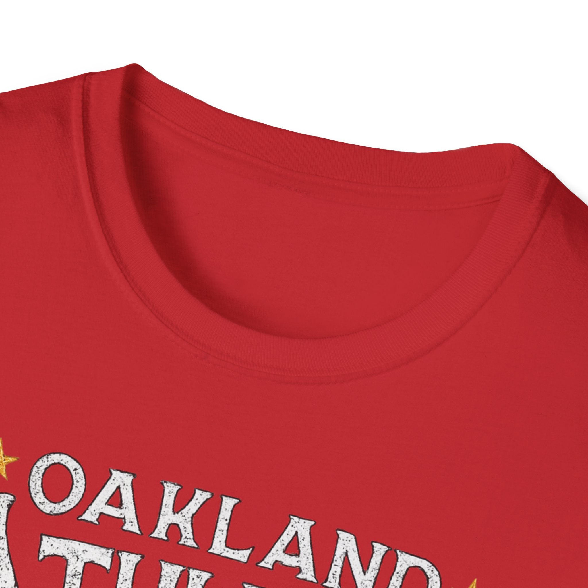 Noter dame fighting irish  - Oakland