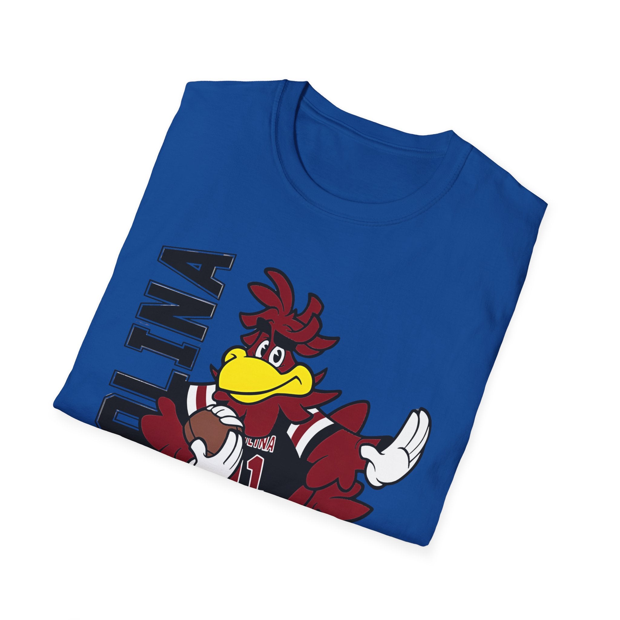 South Carolina Gamecocks